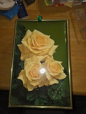 Vintage 1977 Amaretto di Saronno Velvet Gift Box Yellow Rose 3D Art